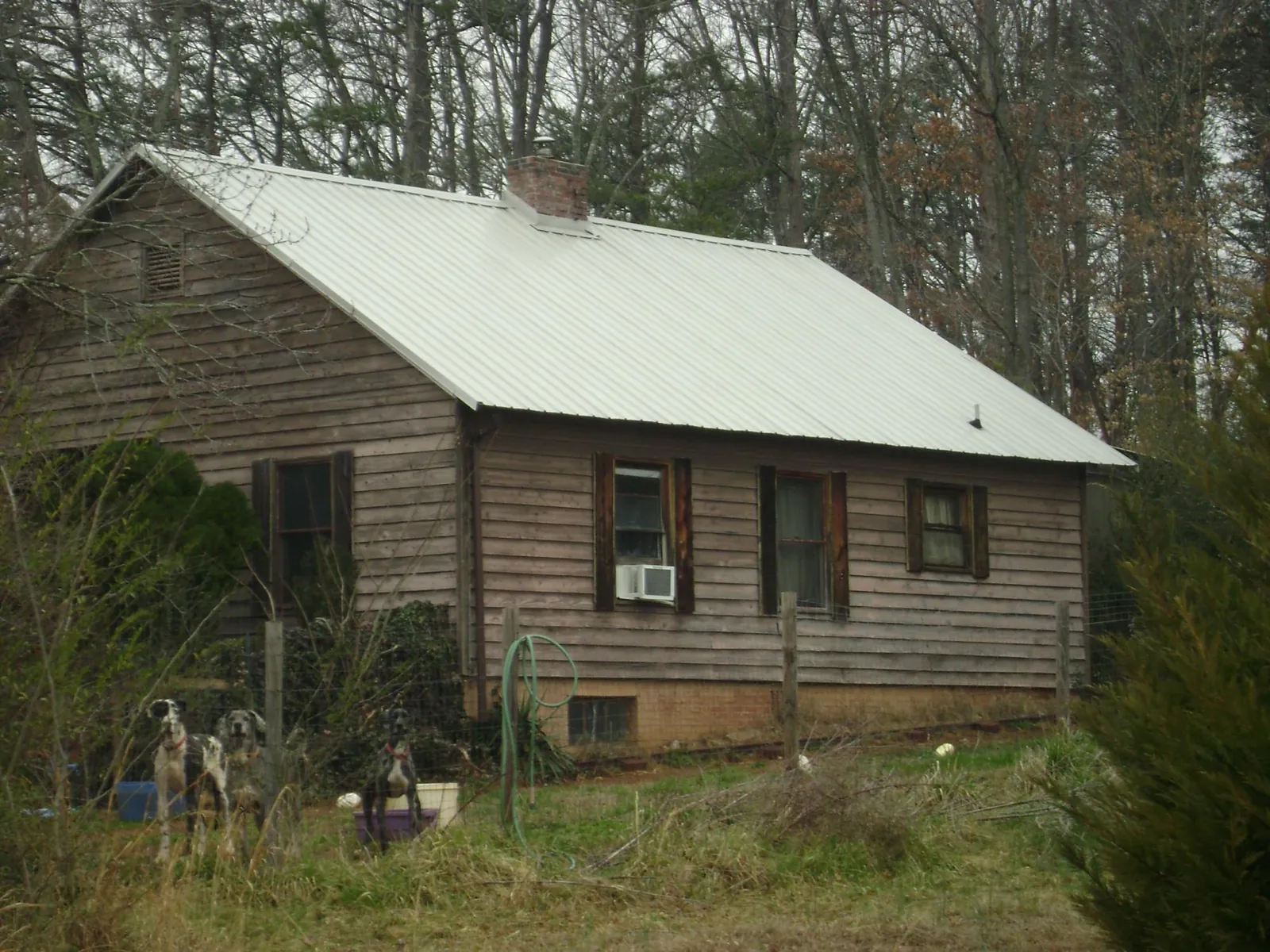 White metal roof on an old wood sided farmhouse, from a Metal Roof Installation job in Cooksville